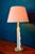 This is a lamp unlike any other. Its sculptural, organic white plaster base creates an almost lifelike silhouette: a...