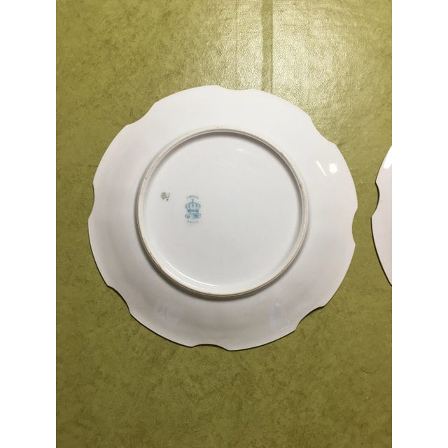 1910s Limoges Hand-Painted Porcelain Coronet Bird Series Plates - a Pair For Sale - Image 5 of 8