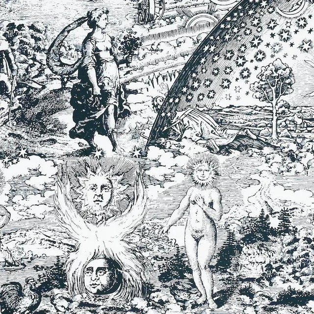 Renaissance Sample - Schumacher X Johnson Hartig Modern Toile Fabric in Black For Sale - Image 3 of 3