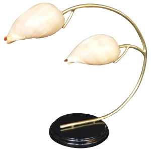 Conch Shell Table Lamp