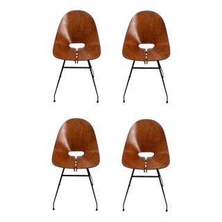 Mid-Century Modern Bent Plywood Chairs by Carlo Ratti, Italy, 1950s, Set of 4 For Sale