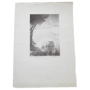 Dark Tree D.R. Peretti Bromoil Print