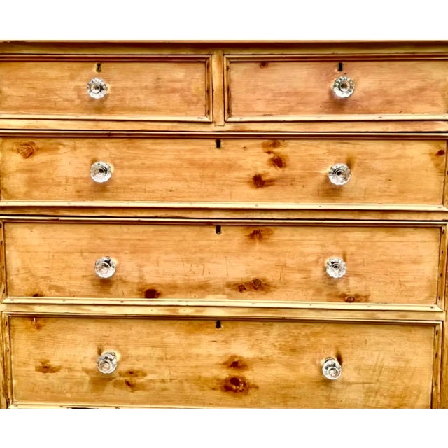 Tan 19th C. English Signed Scrubbed Pine Commode For Sale - Image 8 of 12