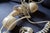 Vintage Beige Buttoned House Phone - Retro Elegance From France For Sale - Image 4 of 7