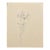 1965 Neil Meitzler Rose Still Life For Sale