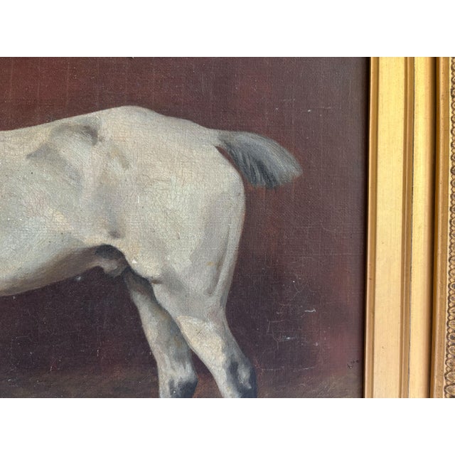 Brown 1891 “Grey Hunter in a Loose Box Stall” Antique Equestrian Horse Painting Oil on Canvas by Alfred Grenfell Haigh For Sale - Image 8 of 10