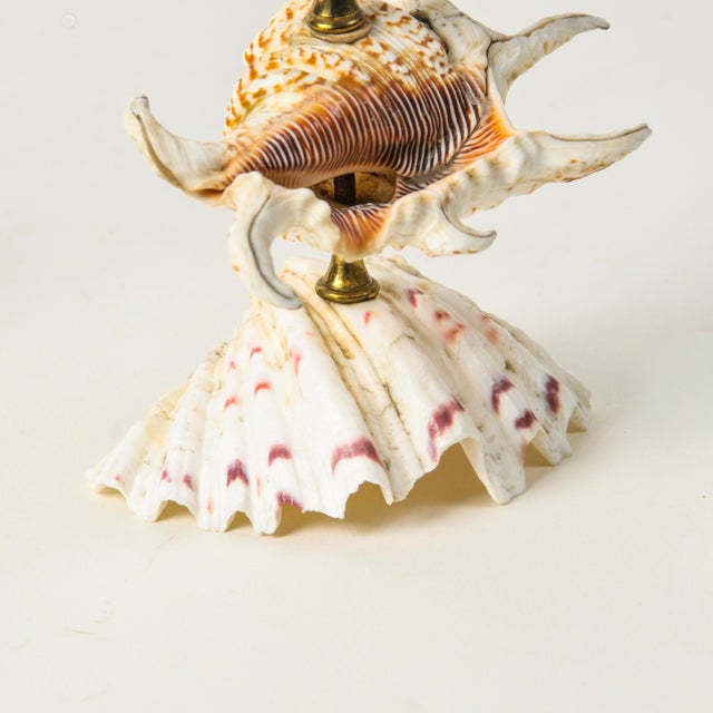 Vintage Natural Seashell and Brass Candlestick Holder Pair For Sale - Image 13 of 13