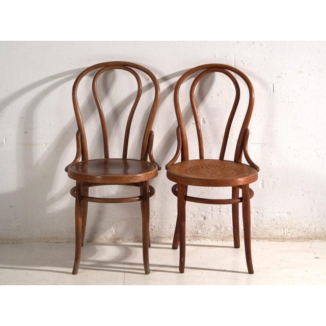 Chairs in Bentwood from Thonet, Central Europe, 1930, Set of 2 For Sale - Image 6 of 13