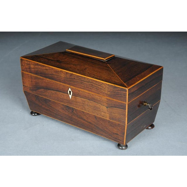 Antique English Regency Box, 1830s For Sale - Image 4 of 17