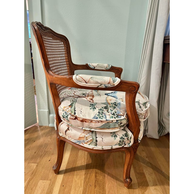 Rustic European Early 20th Century Louis XV French Style Fauteuil With Caned Back and Down Cushion For Sale - Image 3 of 12