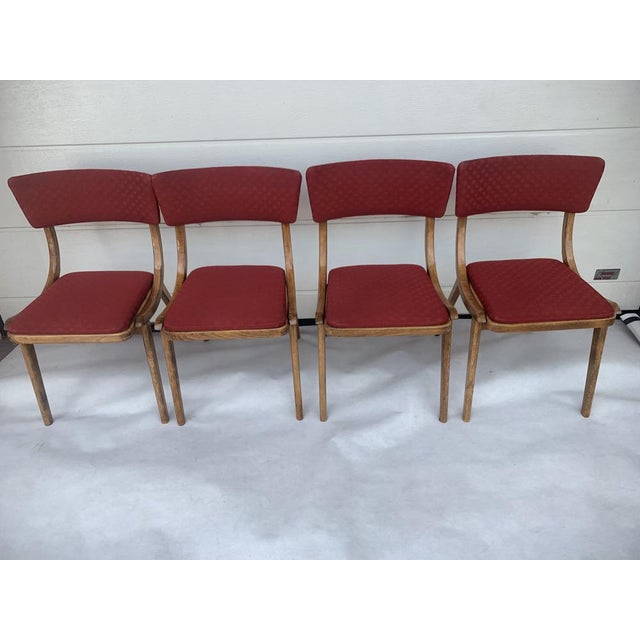 Dining Chairs from Zakłady Mebli Giętych Radomsko, 1960s, Set of 4 For Sale - Image 3 of 18