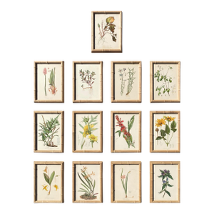 Framed Antique Botanical Chromolithographs — “Wild Flowers of America”, Volume I, L. Prang & Co., Boston (C. 1877) Set of 13