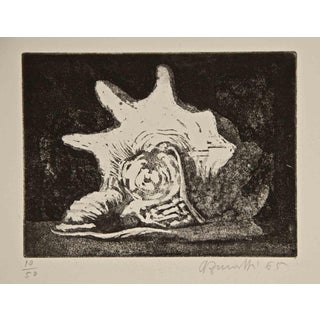 Armando Buratti, Shell, Etching, 1965 For Sale