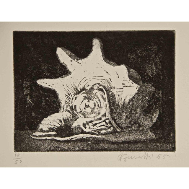 Armando Buratti, Shell, Etching, 1965 For Sale