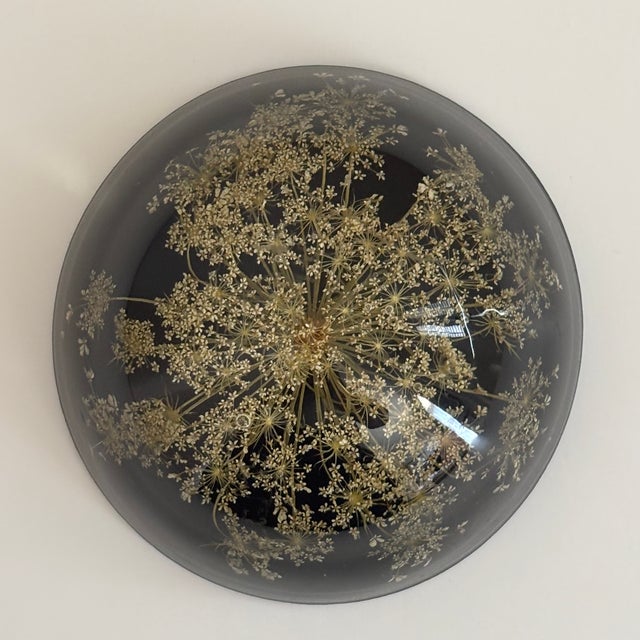 Vintage Botanical Resin Paperweight With Pressed Queen Anne's Lace For Sale - Image 4 of 17