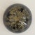 Vintage Botanical Resin Paperweight With Pressed Queen Anne's Lace For Sale - Image 4 of 17