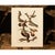 1966 Vintage Cottage Print "Sapsucker, Flicker and Woodpeckers" After John James Audubon For Sale In Dallas - Image 6 of 7