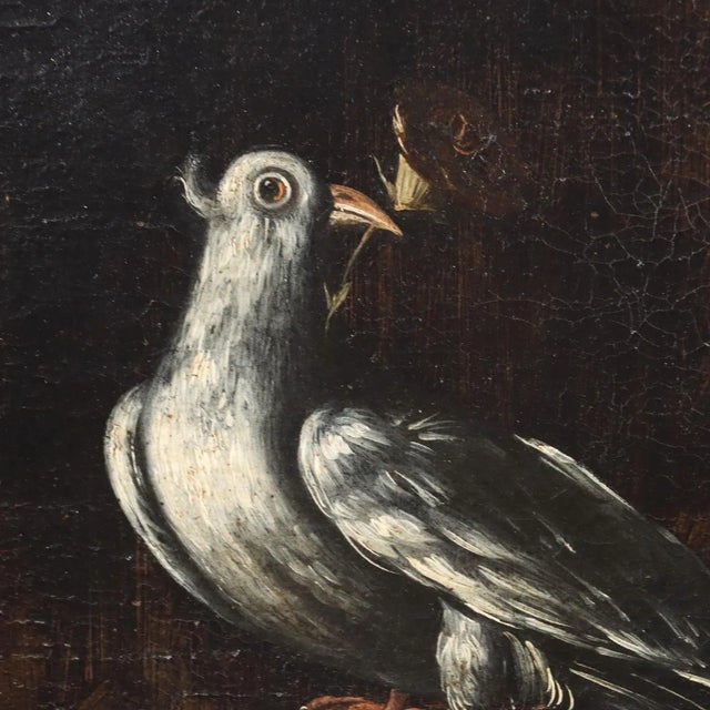 Neapolitan School Artist, Still Life with Flowers and Birds, 17th Century, Oil on Canvas For Sale - Image 4 of 13