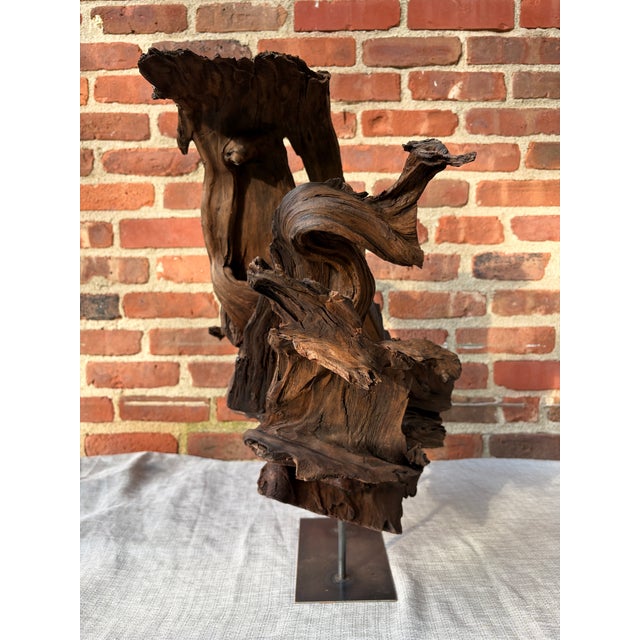 Vintage Teak Wood Root Sculpture on Metal Stand For Sale - Image 13 of 17