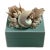 Tiffany Blue Keepsake Box-Mother-of-Pearl Nautilus, Shells & Coral For Sale