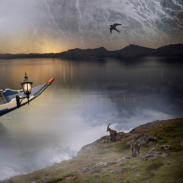 2010s Terra Incognita by Marcin Owczarek | Photography - Dye Sublimation on Aluminum surreal landscape with animals For Sale - Image 5 of 5