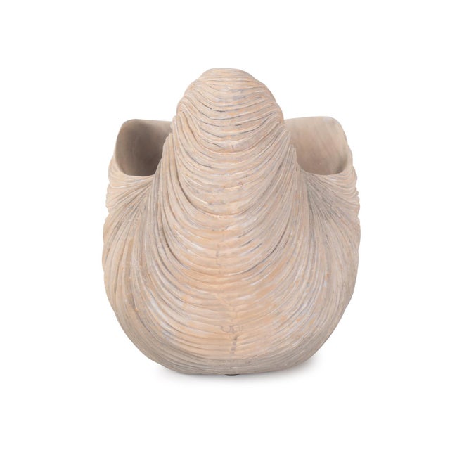 Plastic Nautilus Shell For Sale - Image 7 of 11