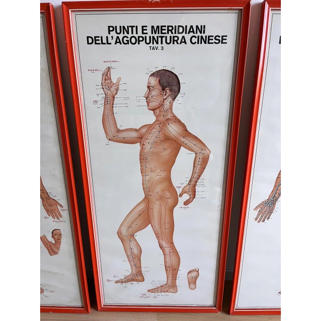 Vintage Chinese Acupuncture Points and Meridian Anatomical Tables, 1960, Set of 3 For Sale - Image 6 of 12