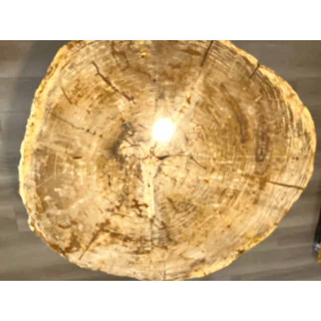 1990s Petrified Wood Coffee Table For Sale - Image 10 of 12