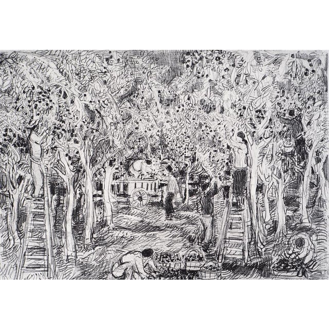 Modern André Cottavoz, Summer Picking in Vallauris, 1976, Original Lithograph For Sale - Image 3 of 10