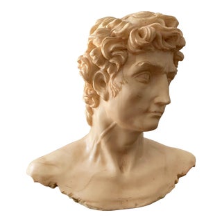 1960s Vintage Greco-Roman Style Male Bust For Sale