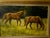 American Sandra Severson Oil Painting at Meadow's Edge 1987. Sandra Severson American, 20th Century Oil Painting on Canvas Panel Signed to Lower Right For Sale - Image 3 of 12