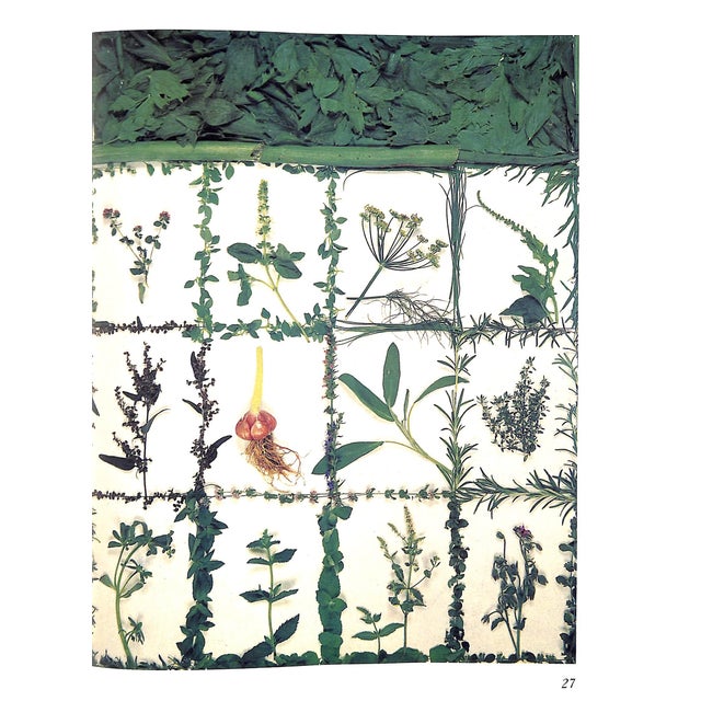 Paper "Bon Appetit Summer & Winter Cookbook" 1980 Boxer, Arabella & Traeger, Tessa For Sale - Image 7 of 12