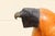 Vintage Sarreid Ltd. Hooded Falcon on Fist Sculpture | Hand-Carved Wood & Brass | Made in Spain, Circa 1970s For Sale In Los Angeles - Image 6 of 16