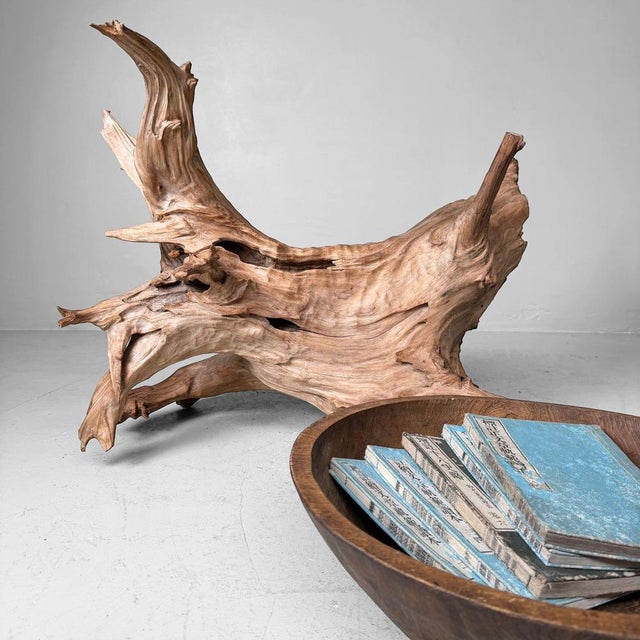 Japanese Koboku Root Wood Sculpture, 1960s For Sale - Image 6 of 13