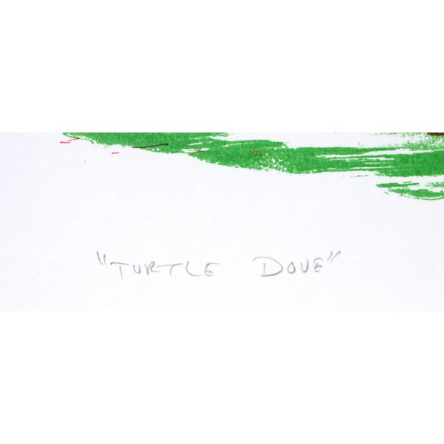 African Turtle Dove, Benny Andrews Lithograph For Sale - Image 3 of 4