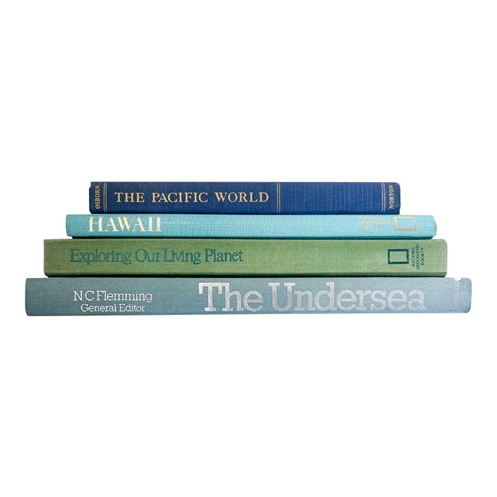 Curated Vintage Designer Book Collection - Pacific Coast Bundle- 4 ...