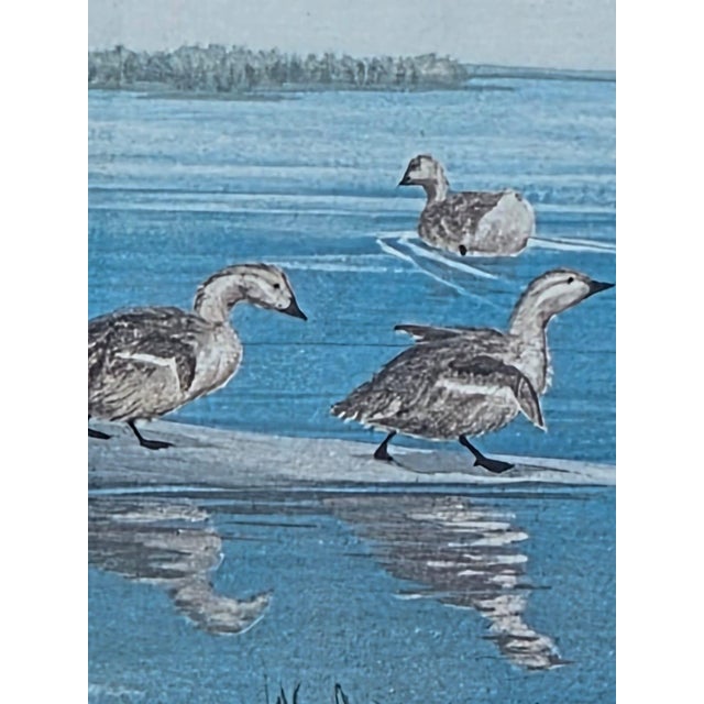 19th Century Beautiful Decorative Painting of Goose Family/ Wood Frame and Glass Cover. For Sale - Image 13 of 14
