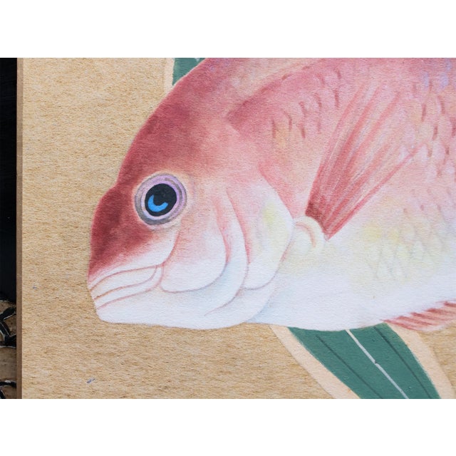 Late 20th Century "Red Snapper", Heisei Era Japanese Watercolor Painting For Sale - Image 5 of 17