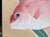 Late 20th Century "Red Snapper", Heisei Era Japanese Watercolor Painting For Sale - Image 5 of 17