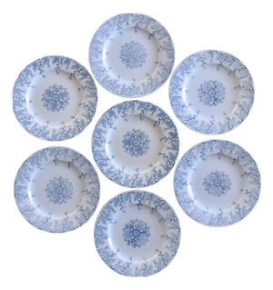 French Neva Collection Plates in Ironstone from Keller & Guérin Lunéville, 19th Century, Set of 7