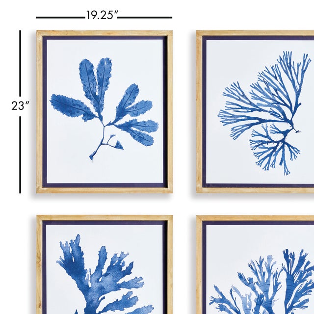 As elegant in style as they are in scale, these monochromatic seaweed prints are signature upscale coastal chic. The soft,...