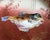 French Country 1950s Limoges French Hand-Painted Fish Plate 6 Pc Set With Gravy Sauce Boat, For Sale - Image 3 of 12
