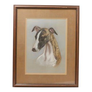 Original Whippet Portrait Drawing Signed Bonita Budysz, Circa 1980 For Sale