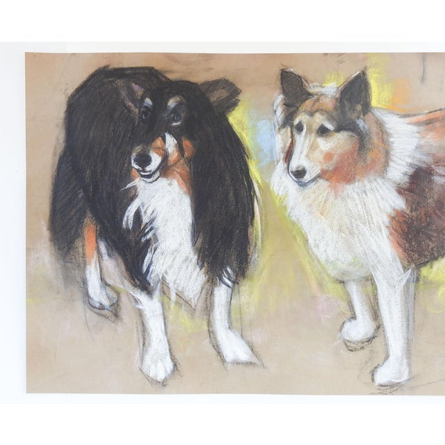 Rustic Vintage Pastel Painting Sheltie or Collie Dogs For Sale - Image 3 of 4