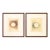 Joseph Gardella Studies of a Circle Ink, 2 For Sale