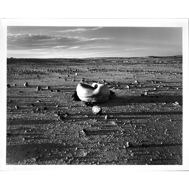 Judy Dater Self - Portrait with Stone Badlands South Dakota - Photograph 1981 Judy Dater (American, 1941-). Original...