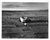 Judy Dater Self - Portrait with Stone Badlands South Dakota - Photograph 1981 Judy Dater (American, 1941-). Original...