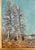 20th Century American Impressionist Landscape With Trees by Ernest Frederick Meyer For Sale - Image 10 of 18