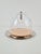 Gijs Bakker Flow Glass Dome with Serving Dish in Stainless Steel by Gijs Bakker for Royal VKB Walnut, 2000, Set of 3 For Sale - Image 4 of 12