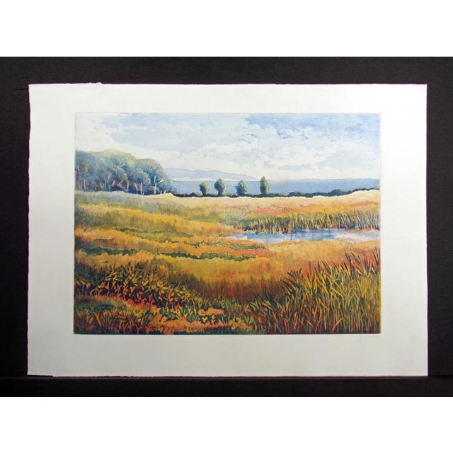 Unframed limited edition aquatint etching landscape by Nicolette Jelen. Hand signed, titled, numbered and dated by the...